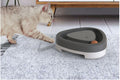 Cat turntable toy with feather