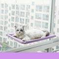 Window-mounted cat hammock with suction cups